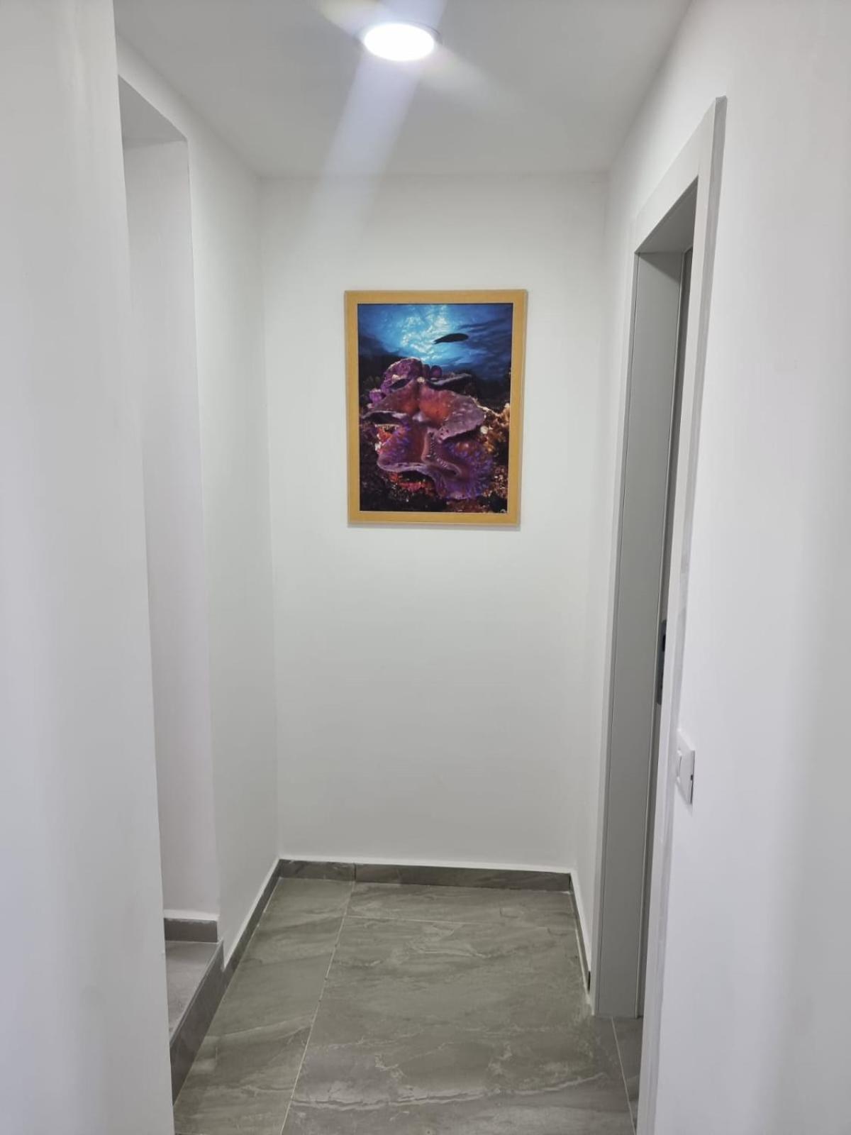 엘라트 דירת גג נוף המפרץ 1105-6 아파트 외부 사진